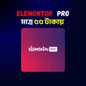 Elementor Pro
